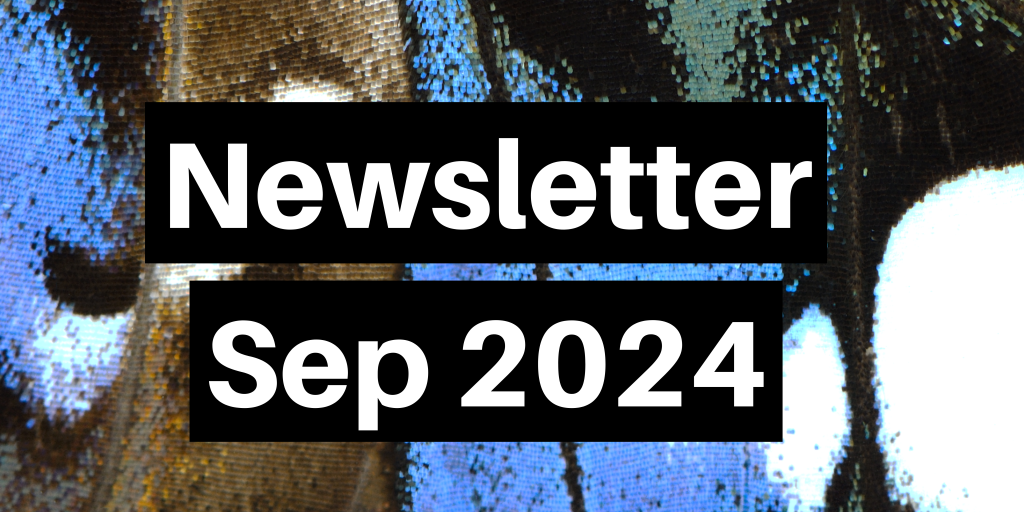 Butterfly wing in background. Text reads Newsletter Sep 2024