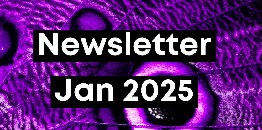 Newsletter Jan 2025